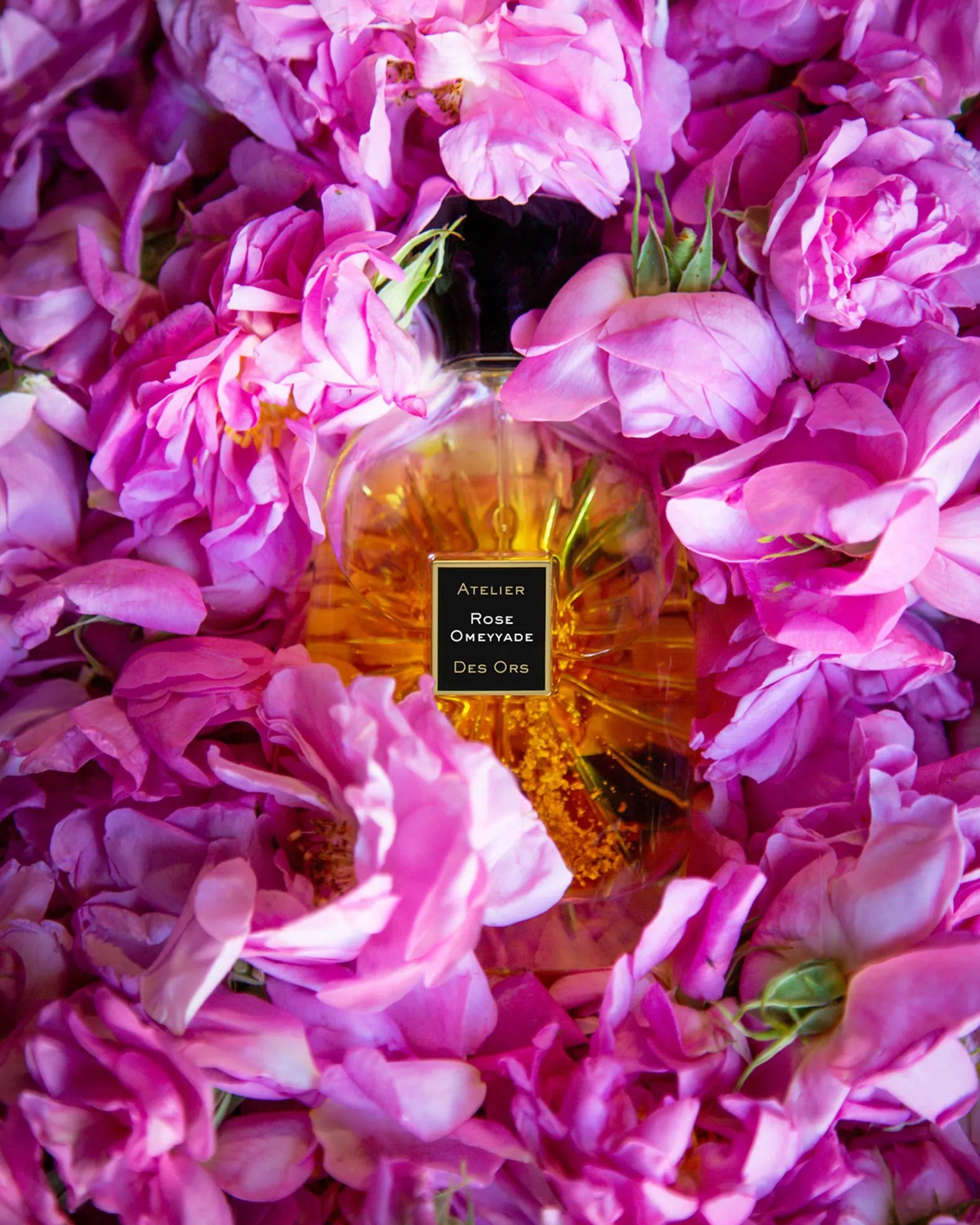 Rose Omeyyade By Atelier des Ors