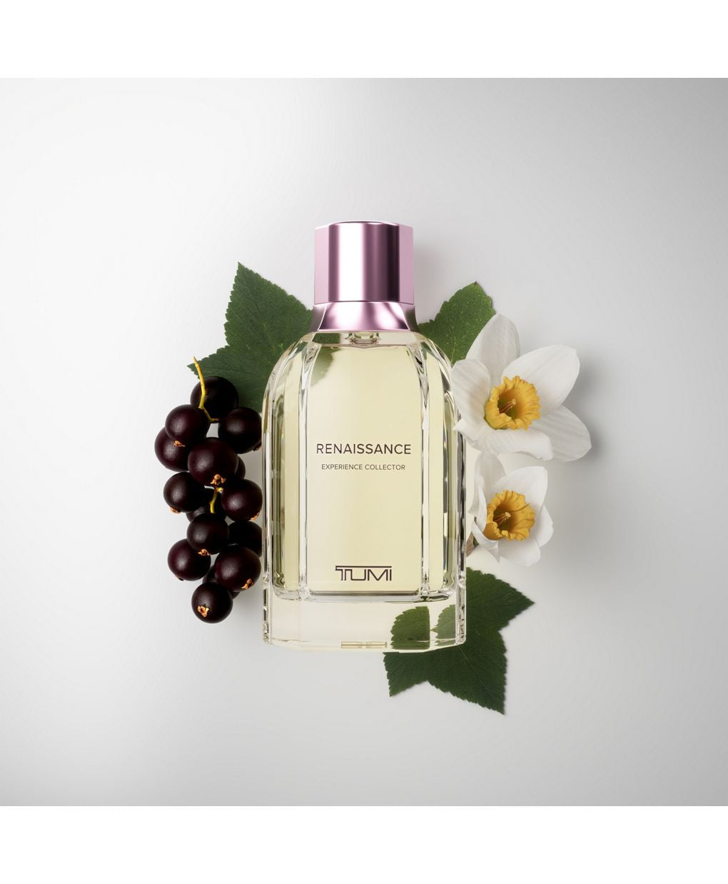Renaissance by Tumi