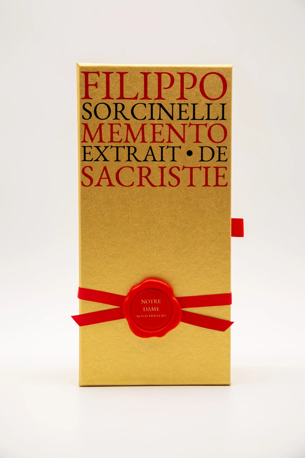 Notre Dame Notte di Natale by Filippo Sorcinelli
