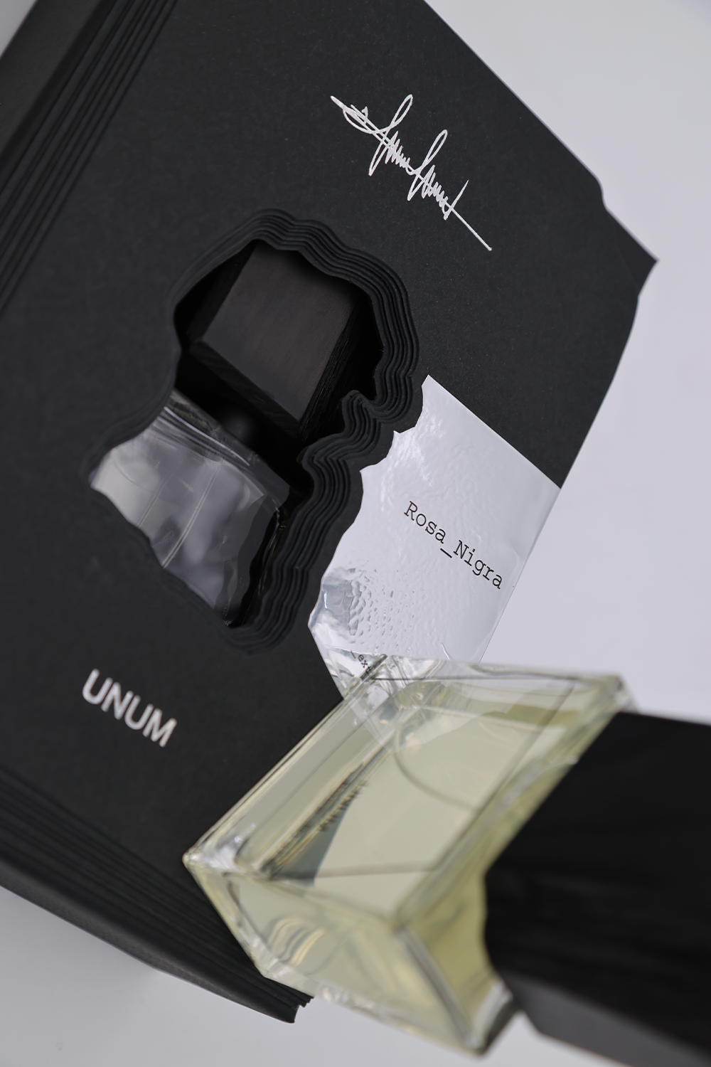 Unum Rosa Nigra by Filippo Sorcinelli