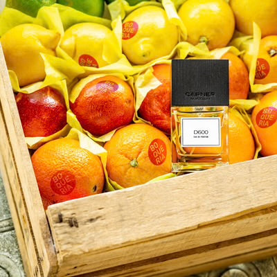 D600 By Carner Barcelona