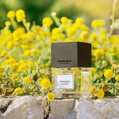 Tardes by Carner Barcelona