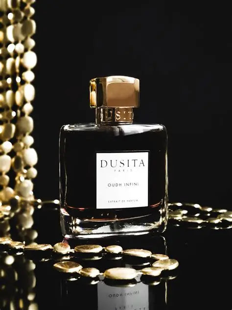 Oudh Infini By Parfums Dusita