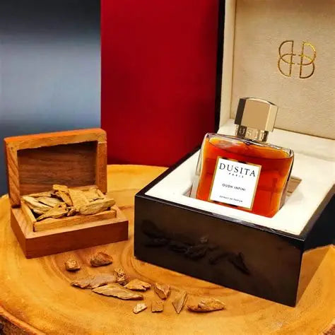 Oudh Infini By Parfums Dusita