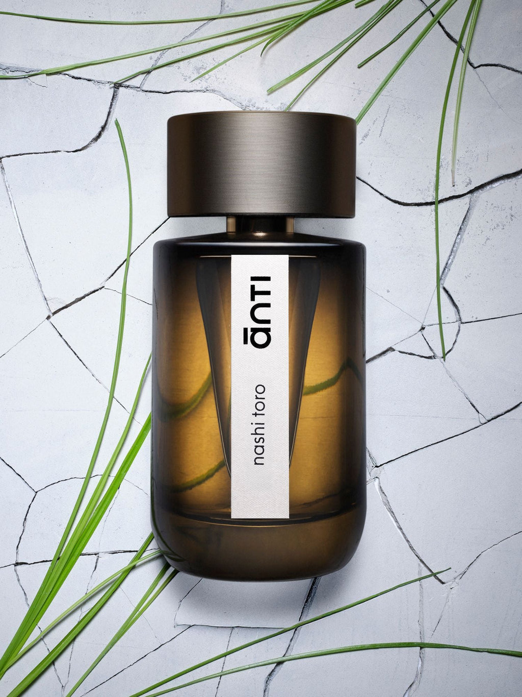 Nashi Toro by Anti Parfum